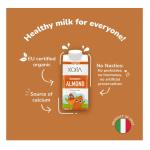 Koita Organic Almond Milk - 200 ml x 24