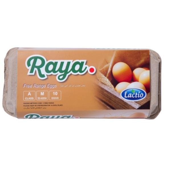 Lactio Raya Free Range Eggs - 10 pcs