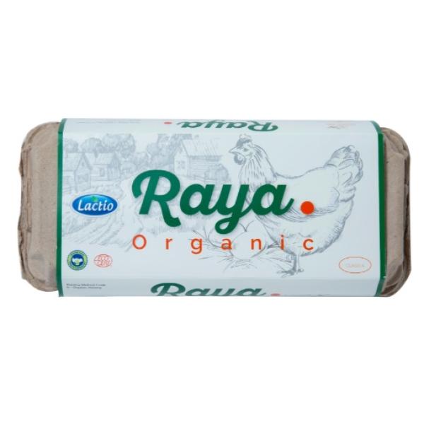 Lactio Raya Organic Eggs - 10 pcs