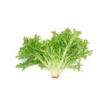 Lettuce Frisse Green, Spain - 500g