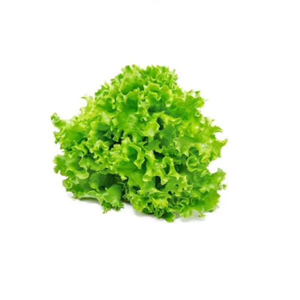 Lettuce Lolo Green Bionda, UAE - 150 to 200g