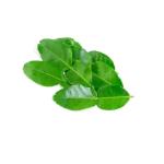 Lime Leaves, Thailand - 50g