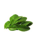 Lime Leaves, Thailand - 50g (Pack)