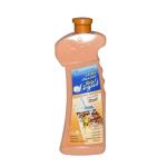 Loyal Multi-Purpose Household Deodorizer Concentrated Gel, Oud Scent - 700 ml