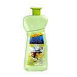 Loyal Multi-Purpose Household Deodorizer Concentrated Gel, Spring Flowers Scent - 2100 ml