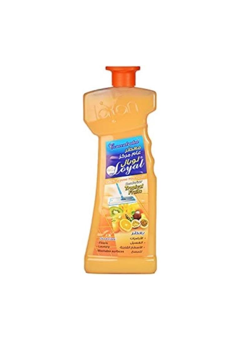 Loyal Multi-Purpose Household Deodorizer Concentrated Gel, Tropical Fruits Scent - 700 ml