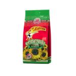 Martin Roasted Black Sunflower Seeds - 100g