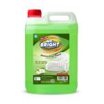 Mr. Bright Dishwashing Liquid, Green Apple - 5 Liter