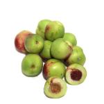 Nectarine Green, Iran - 1.3 kg