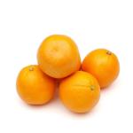 Orange Valencia, South Africa - 1 kg