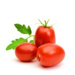 Plum Tomatoes, Holland - 500g (Pack)