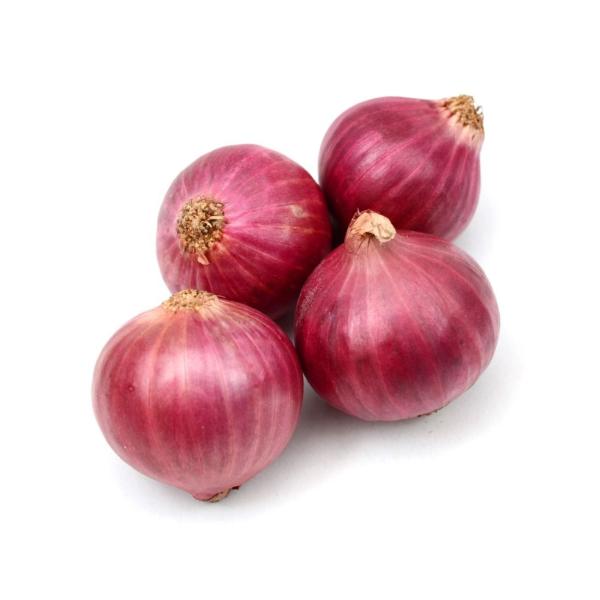 Red Onions - India