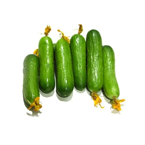 Snack Cucumber, UAE - 250g