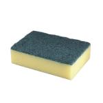 Sponge with Scouring Pad