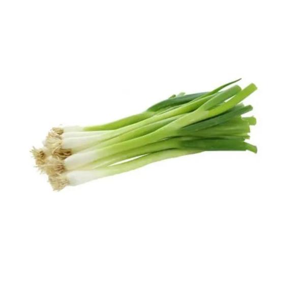 Spring Onion, UAE - 100g