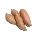 Sweet Potato, South Africa