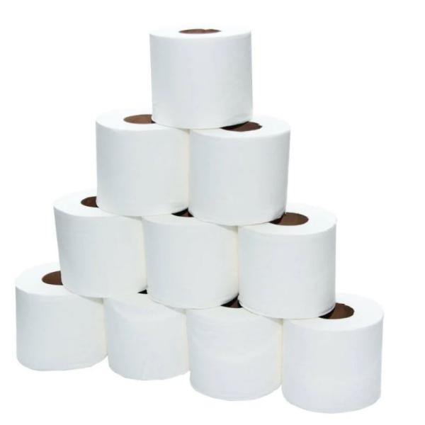 Toilet Roll Tissue, 100 sheets - 10 Rolls