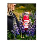 VIT HIT Dragonfruit Immunitea - 500 ml x 12