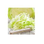 White Cabbage (Shredded), Iran, Oman, UAE - 250g