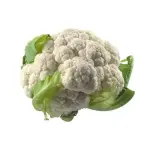 Cauli Flower, Iran - 1 to 1.3 kg