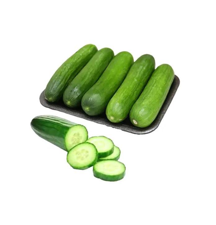 Cucumber, UAE