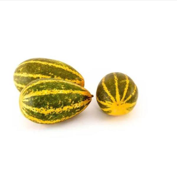 Cucumber Yellow, India - 500 to 800g