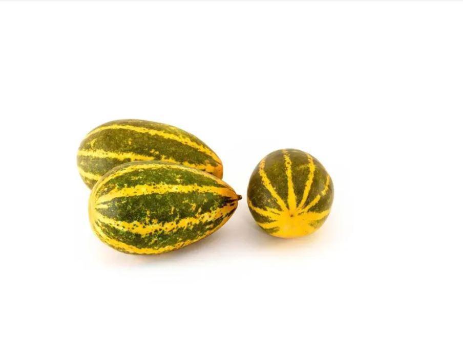 Cucumber Yellow, India - 500 to 800g