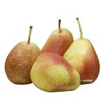 Pears Forelle, South Africa - 1 kg