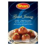 Shan Special Gulab Jaman Mix - 100g