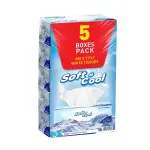 Soft N Cool Facial Tissue, 2 Ply - 200 Sheets