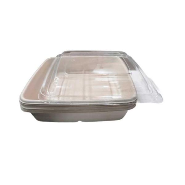 Sugarcane Bagasse Rectangular Container, Beige with Dome PET lid - 1000 ml